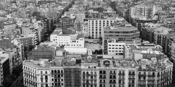 Delitos Contra la Propiedad / Urbanísticos Castellnovo · Parcelación en Suelo No Edificable