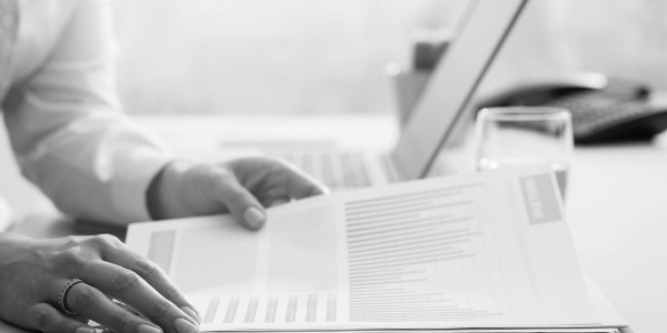 Delitos Contra la Propiedad / Urbanísticos Castellnovo · Alteración de Precios en Concursos y Subastas Públicas
